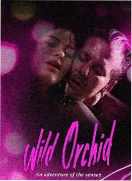 零点回声悬疑剧集深夜档片单封面